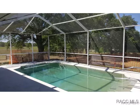 317 E Samuel Ct, Hernando, FL 34442 photo 17