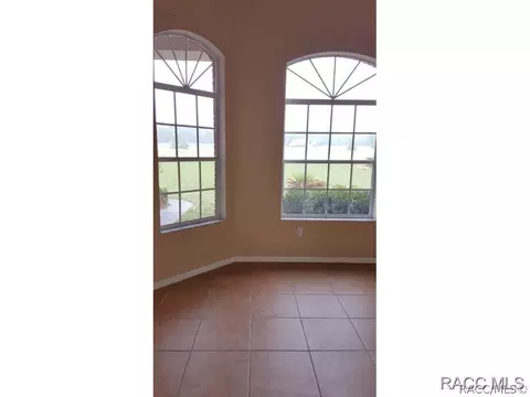 317 E Samuel Ct, Hernando, FL 34442 photo 12
