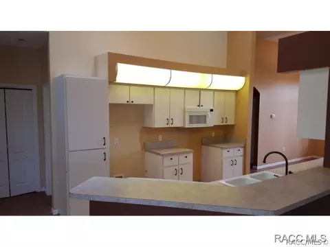 317 E Samuel Ct, Hernando, FL 34442 photo 3