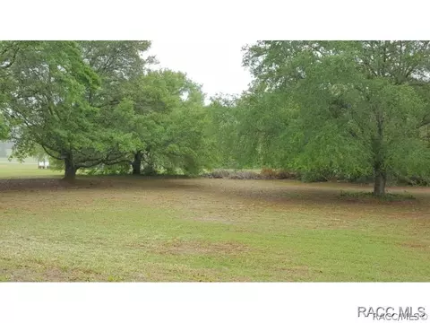 317 E Samuel Ct, Hernando, FL 34442 photo 21