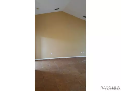 317 E Samuel Ct, Hernando, FL 34442 photo 11