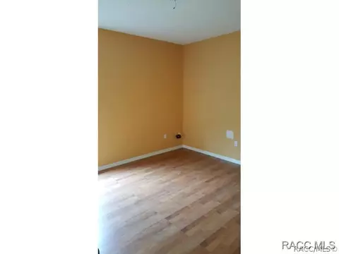 317 E Samuel Ct, Hernando, FL 34442 photo 13