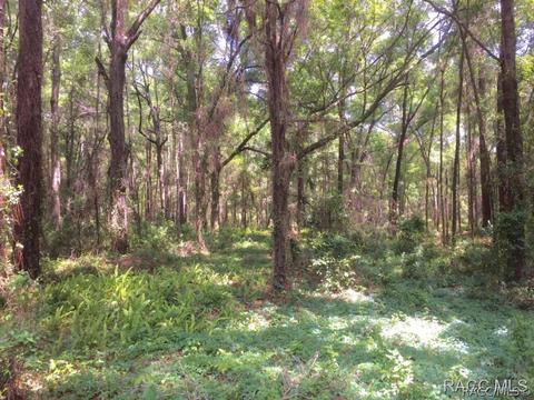 19081 SW 92nd Lp, Dunnellon, FL 34432 photo 24