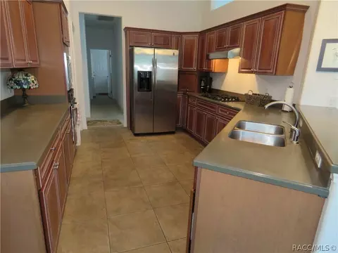 1437 W Double Eagle Ct, Hernando, FL 34442 photo 9