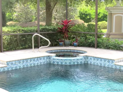 1437 W Double Eagle Ct, Hernando, FL 34442 photo 28