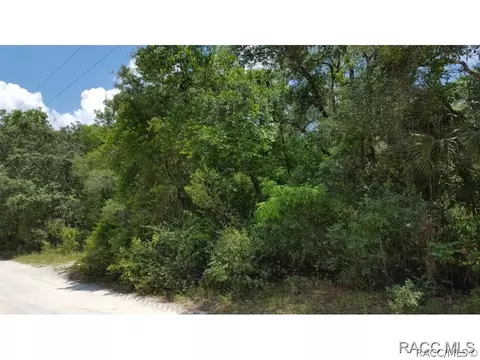 5076 E Marsh Lake Dr, Hernando, FL 34442 photo 2