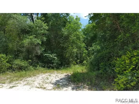5076 E Marsh Lake Dr, Hernando, FL 34442 photo 3