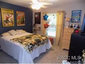 3145 N Wheaton Pt, Hernando, FL 34442 photo 20