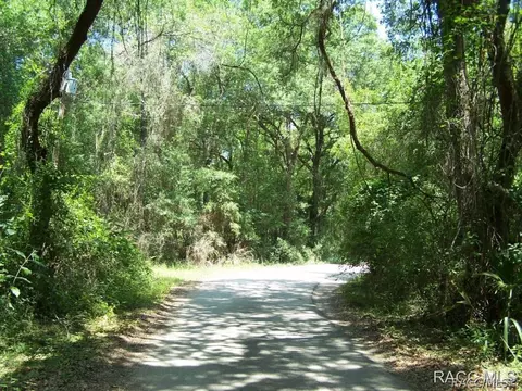 7528 N Palm Oak Dr, Hernando, FL 34442 photo 1