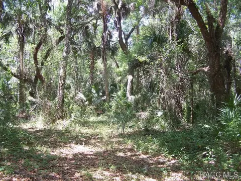 7528 N Palm Oak Dr, Hernando, FL 34442 photo 4