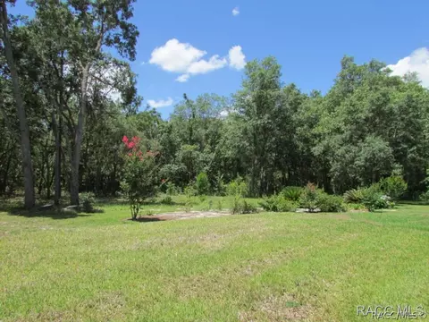 3530 N Indianhead Rd, Hernando, FL 34442 photo 30
