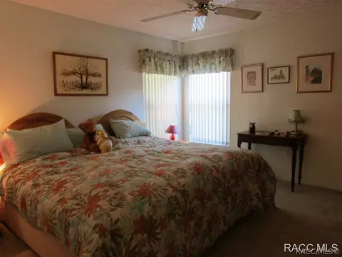 3530 N Indianhead Rd, Hernando, FL 34442 photo 17