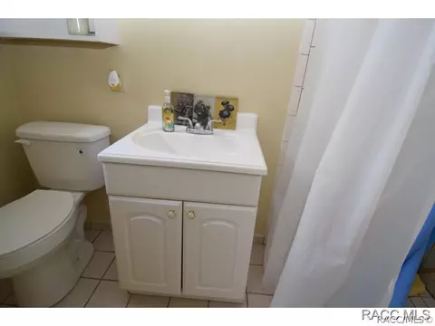 886 E Whitecloud Ln, Hernando, FL 34442 photo 16