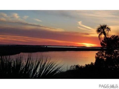 716 W Doerr Path, Hernando, FL 34442 photo 31