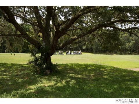 716 W Doerr Path, Hernando, FL 34442 photo 20