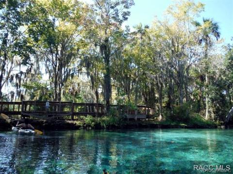 716 W Doerr Path, Hernando, FL 34442 photo 30