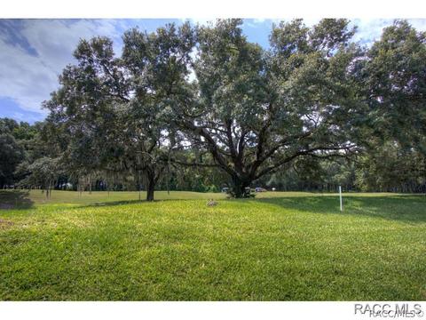 716 W Doerr Path, Hernando, FL 34442 photo 19