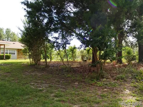 727 E Jinnita St, Hernando, FL 34442 photo 27