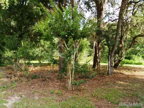 727 E Jinnita St, Hernando, FL 34442 photo 28
