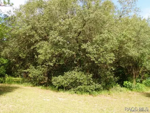 727 E Jinnita St, Hernando, FL 34442 photo 25