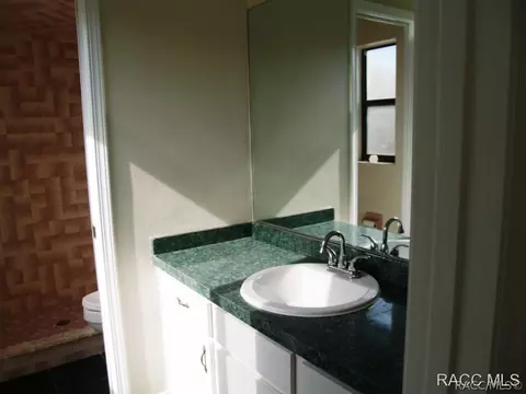 727 E Jinnita St, Hernando, FL 34442 photo 9