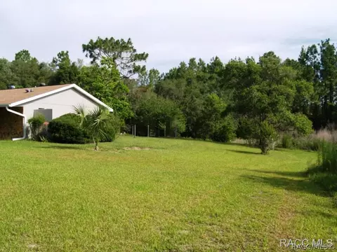 727 E Jinnita St, Hernando, FL 34442 photo 22