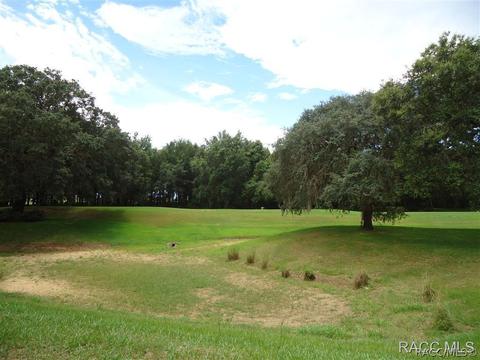 710 W Doerr Path, Hernando, FL 34442 photo 19