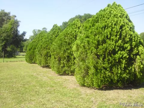 20111 SE 111th Ave, Inglis, FL 34449 photo 20