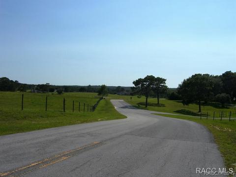 3850 E Oak Trace Path, Inverness, FL 34452 photo 2