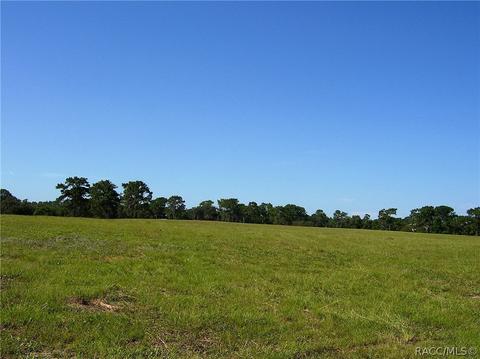 3850 E Oak Trace Path, Inverness, FL 34452 photo 6