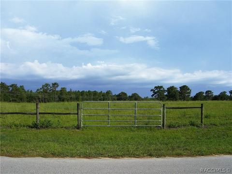 3850 E Oak Trace Path, Inverness, FL 34452 photo 7