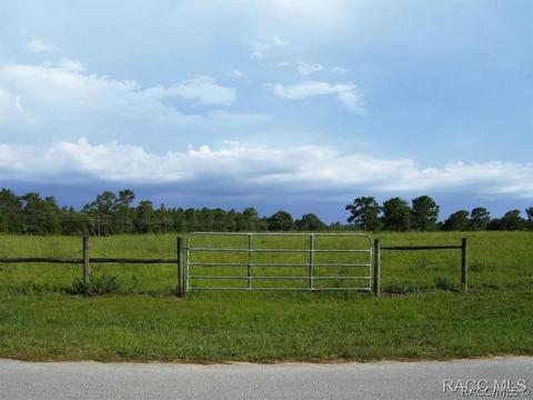 3850 E Oak Trace Path, Inverness, FL 34452 photo 1
