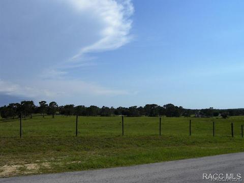 3850 E Oak Trace Path, Inverness, FL 34452 photo 4