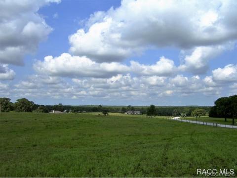 3850 E Oak Trace Path, Inverness, FL 34452 photo 5