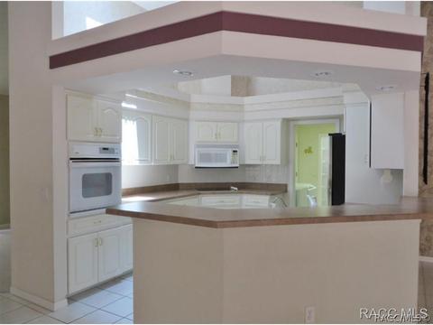 1125 N Hambletonian Dr, Hernando, FL 34442 photo 10