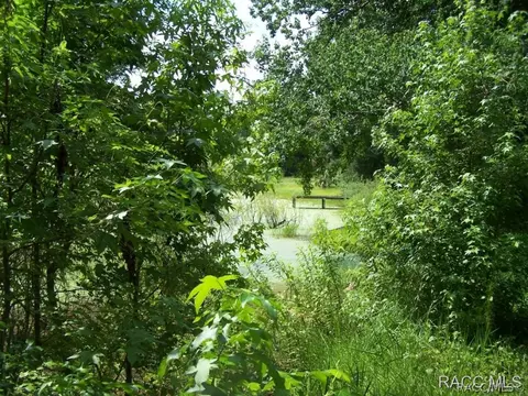 2672 N Rutgers Ter, Hernando, FL 34442 photo 9