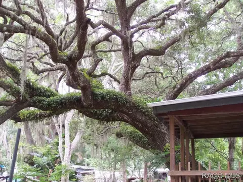 2672 N Rutgers Ter, Hernando, FL 34442 photo 5
