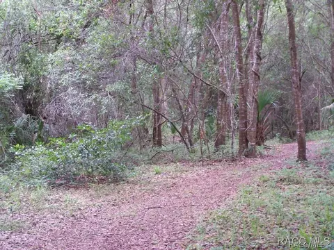 2672 N Rutgers Ter, Hernando, FL 34442 photo 6