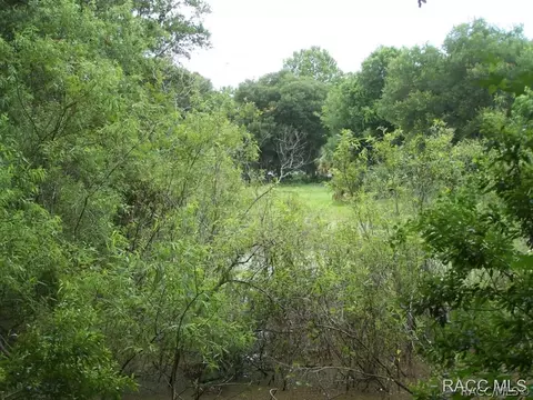 2672 N Rutgers Ter, Hernando, FL 34442 photo 8