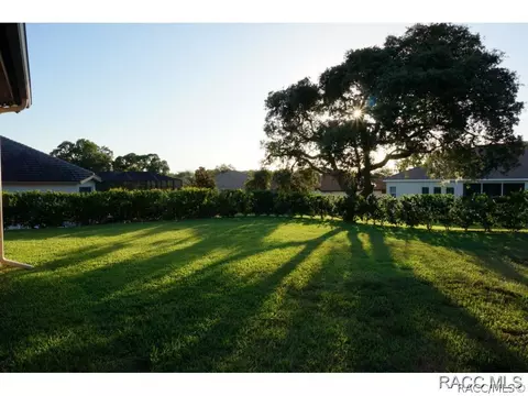 1011 W Rollingwood Ct, Hernando, FL 34442 photo 36