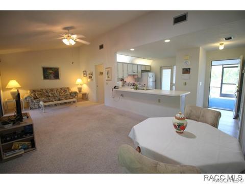 217 E Leon Loop, Hernando, FL 34442 photo 23