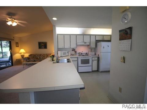 217 E Leon Loop, Hernando, FL 34442 photo 6