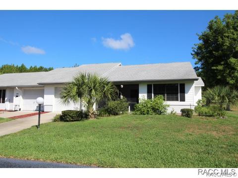 217 E Leon Loop, Hernando, FL 34442 photo 1