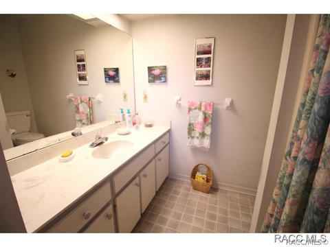 217 E Leon Loop, Hernando, FL 34442 photo 20