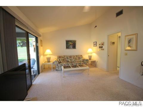 217 E Leon Loop, Hernando, FL 34442 photo 25