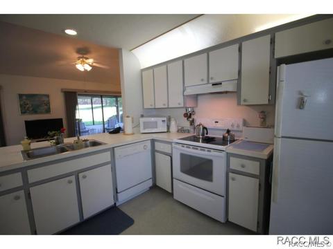 217 E Leon Loop, Hernando, FL 34442 photo 8