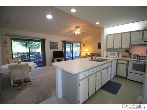 217 E Leon Loop, Hernando, FL 34442 photo 5