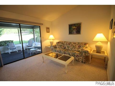 217 E Leon Loop, Hernando, FL 34442 photo 11