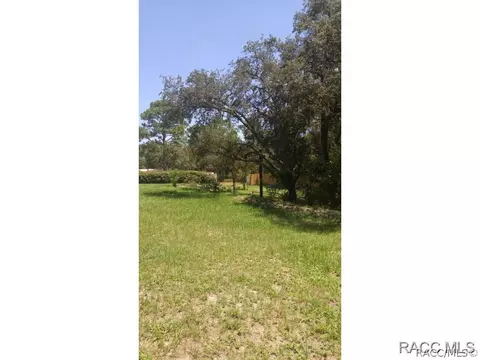 703 N Griffith Ave, Crystal River, FL 34429 photo 4