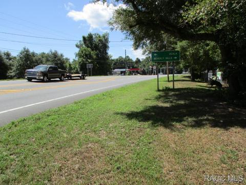 968 E Bradford Ln, Holder, FL 34445 photo 28